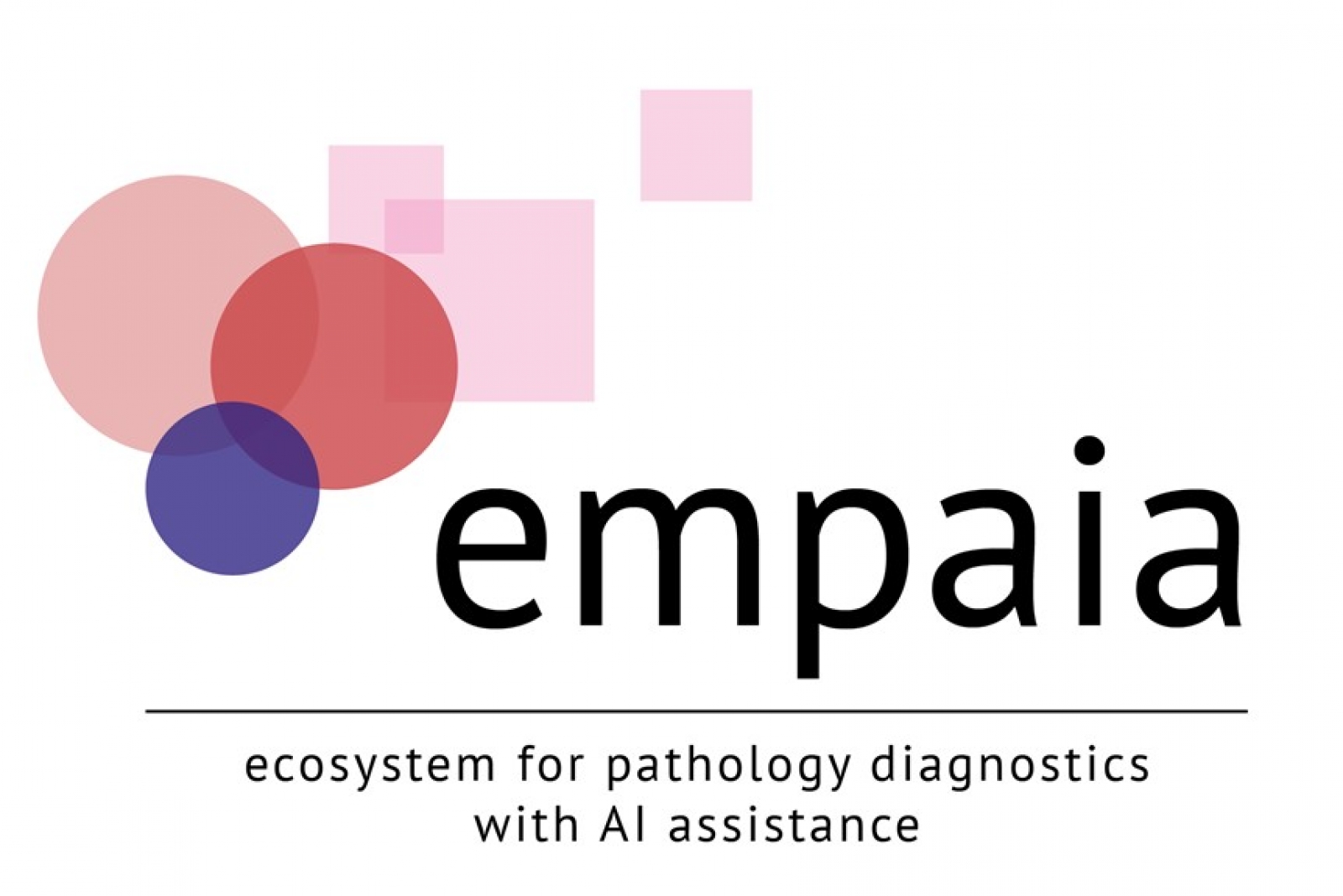 EMPAIA Consortium sponsor