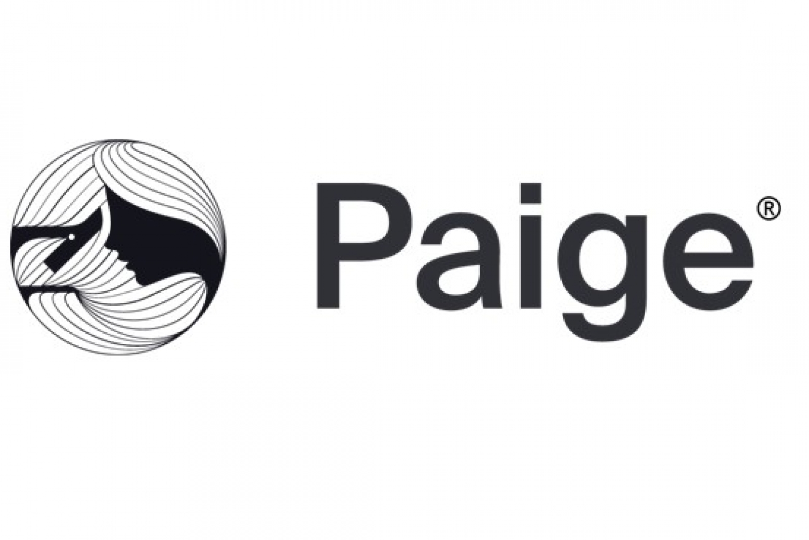 Paige sponsor